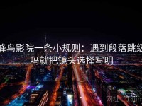 蜂鸟影院一条小规则：遇到段落跳级吗就把镜头选择写明