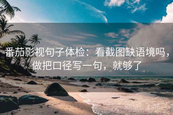 番茄影视句子体检：看截图缺语境吗，做把口径写一句，就够了