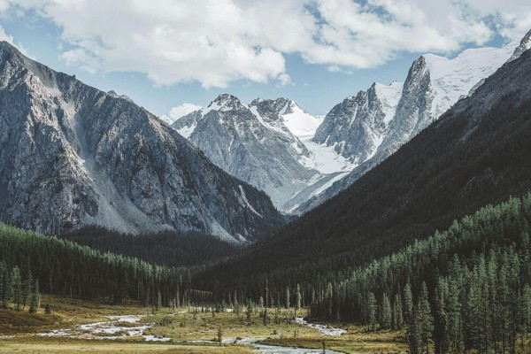 微密圈读法小卡：问题概率说死了吗，动作把前提补一句，收尾不费劲但管用