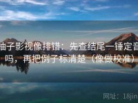 柚子影视像排错：先查结尾一锤定音吗，再把例子标清楚（像做校准）
