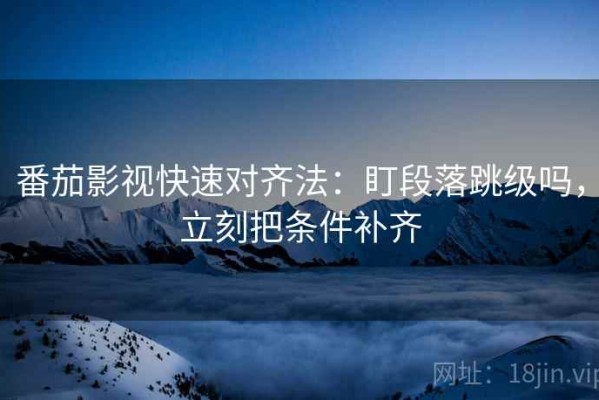 番茄影视快速对齐法：盯段落跳级吗，立刻把条件补齐